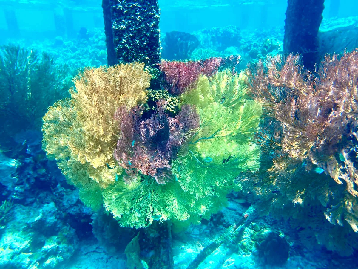 Secluded private beach