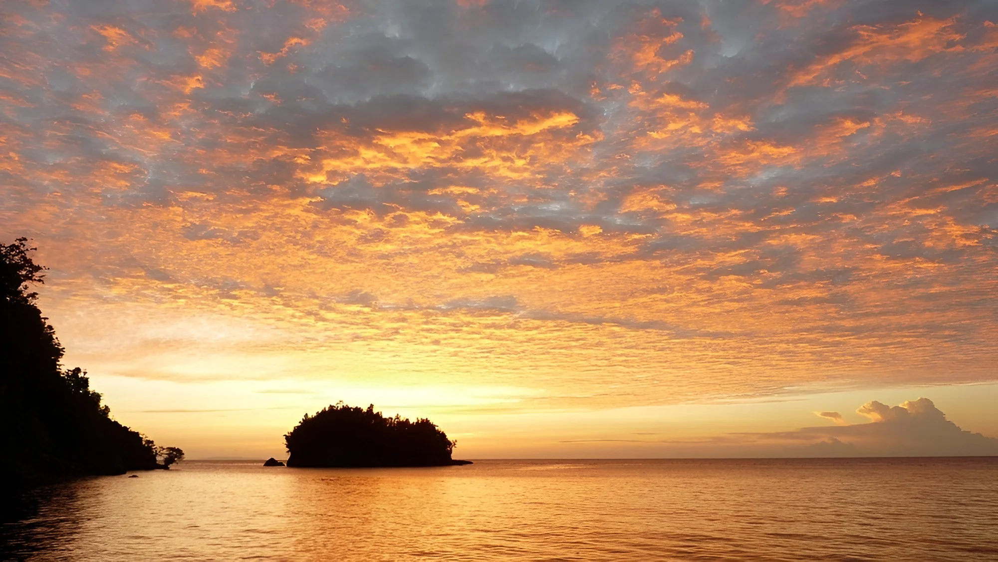 Underwater coral garden